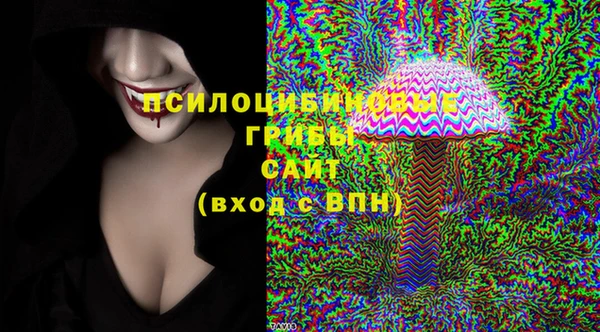ПСИЛОЦИБИНОВЫЕ ГРИБЫ Алексеевка