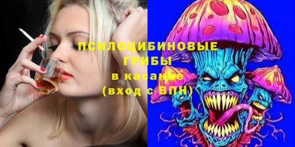 spice Абаза