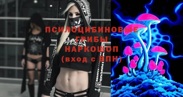 ПСИЛОЦИБИНОВЫЕ ГРИБЫ Алексеевка