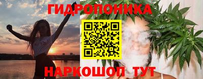 a pvp Краснознаменск