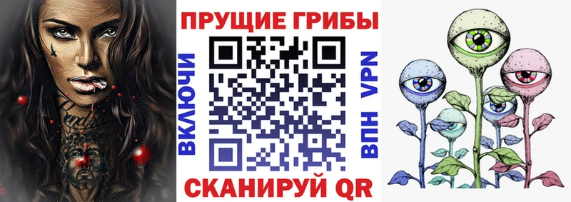 Псилоцибиновые грибы ЛСД  гидра ONION  Кохма 