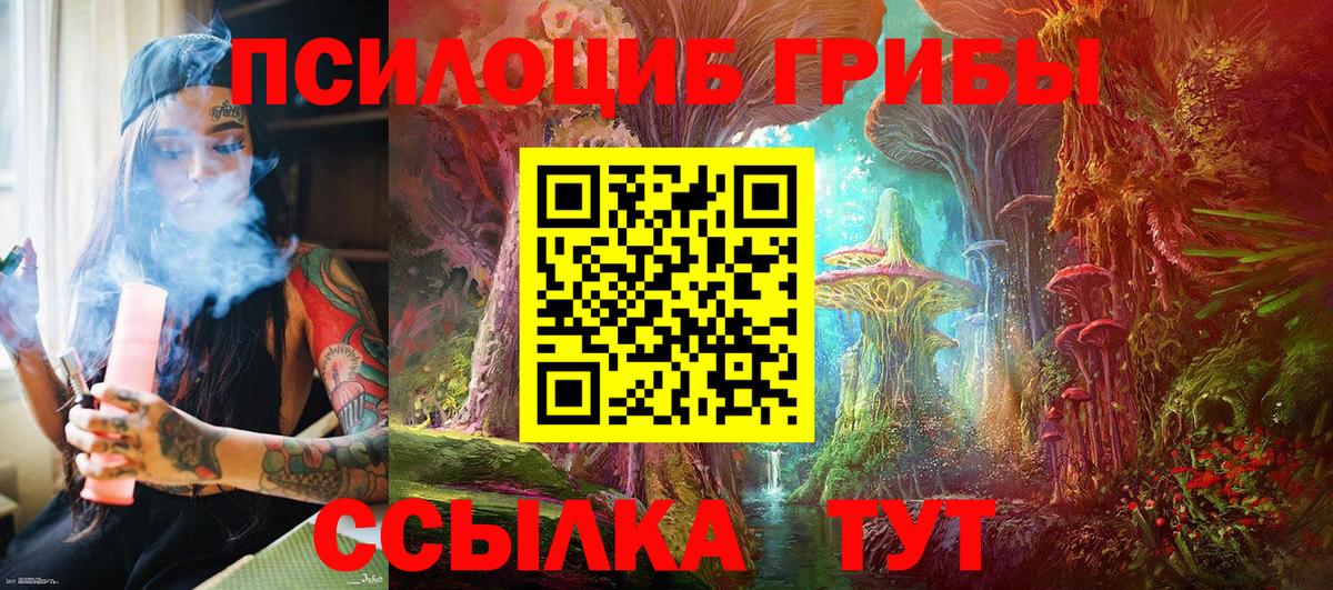 Псилоцибиновые грибы Psilocybe Кохма