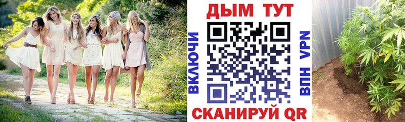 МАРИХУАНА Amnesia  закладка  Кохма 