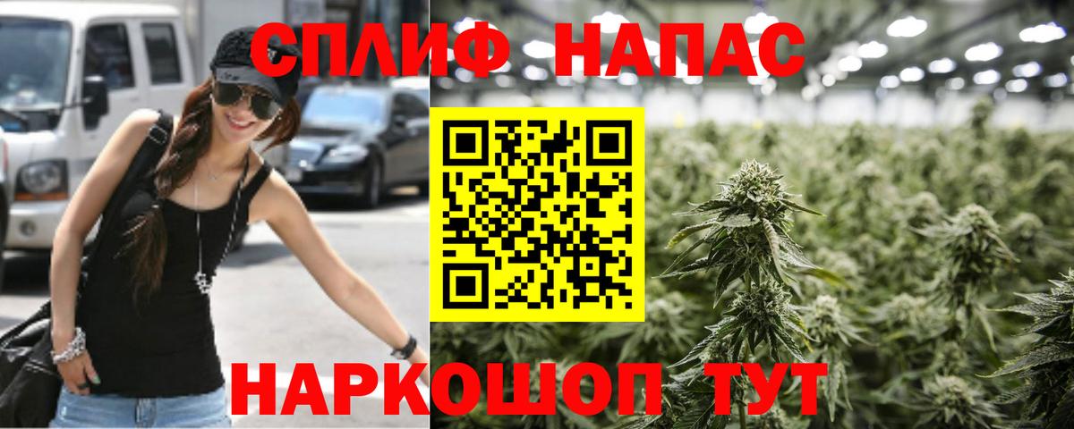 Конопля MAZAR Кохма